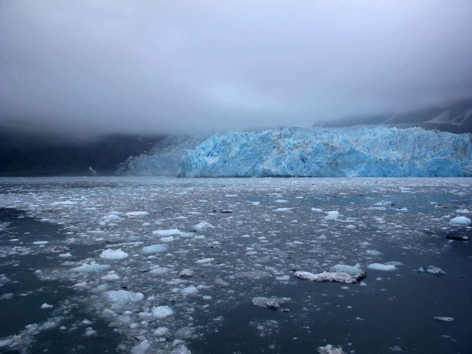 CAMBIO CLIMATICO