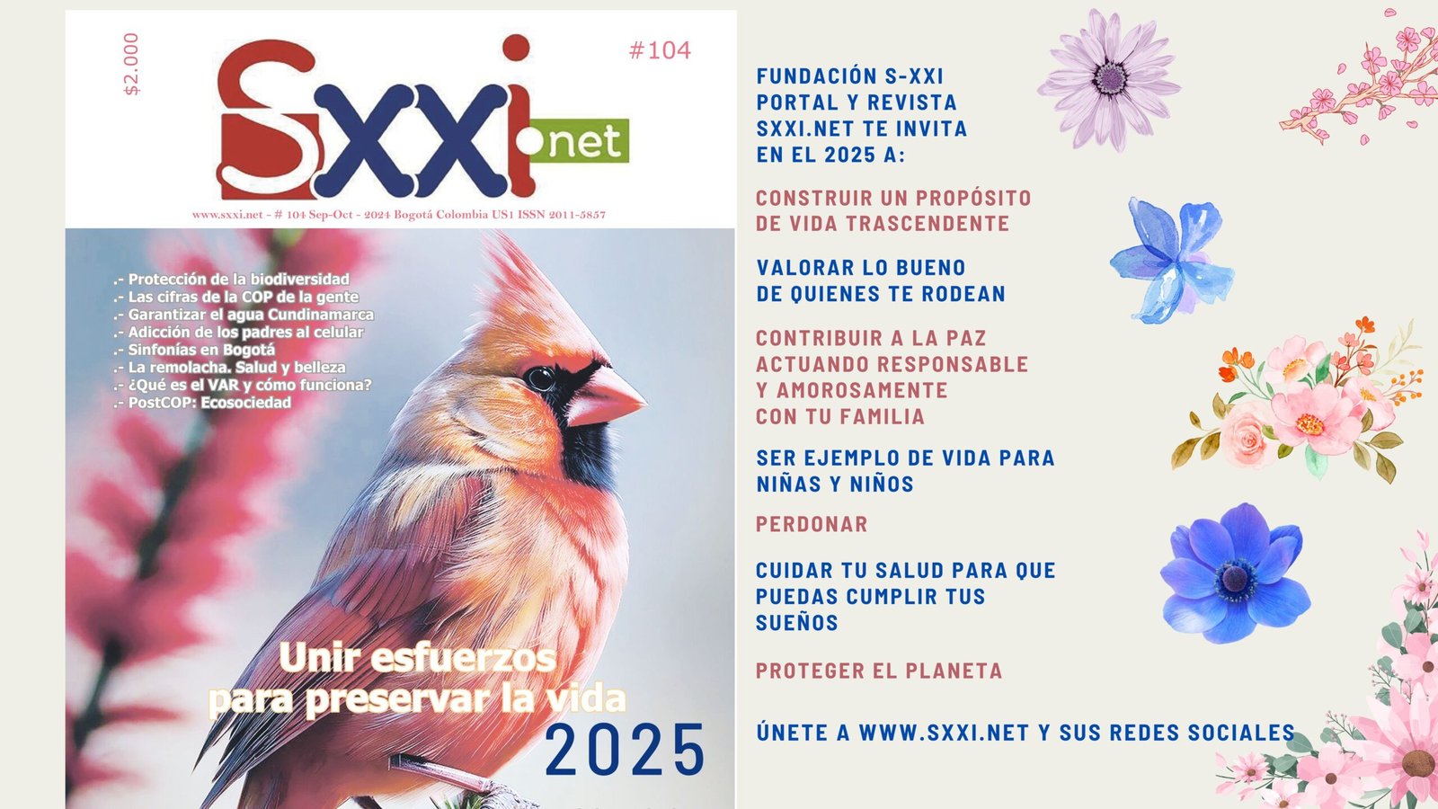 Sxxi.net-2025