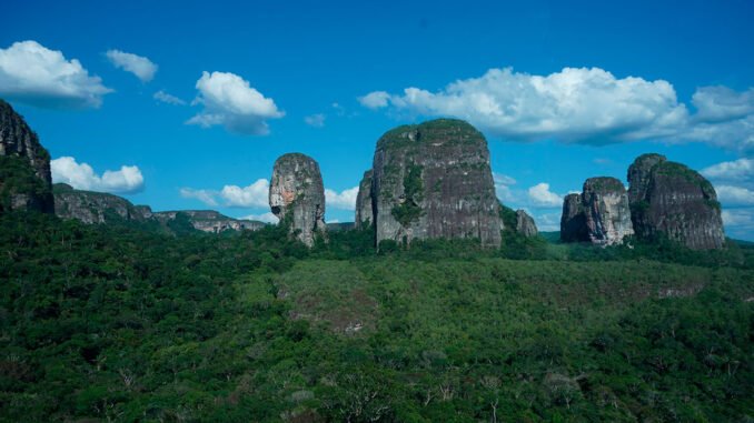 250614-Colombia-revela-hallazgos-clave-para-la-historia-de-la-humanidad-1280
