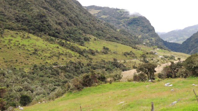 paramos-Sumapaz2