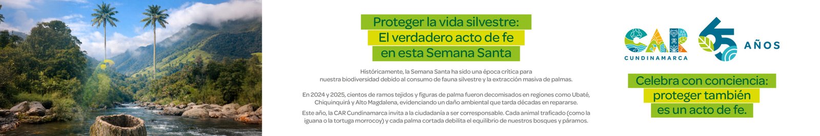 Plan-de-Medios-Portales-Web_1200-x-200-