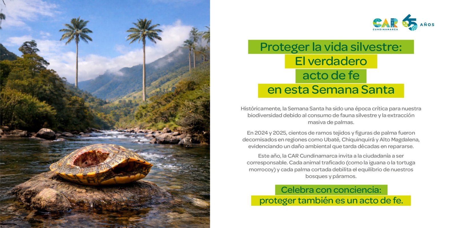 Portal Ecológico Sxxi.net