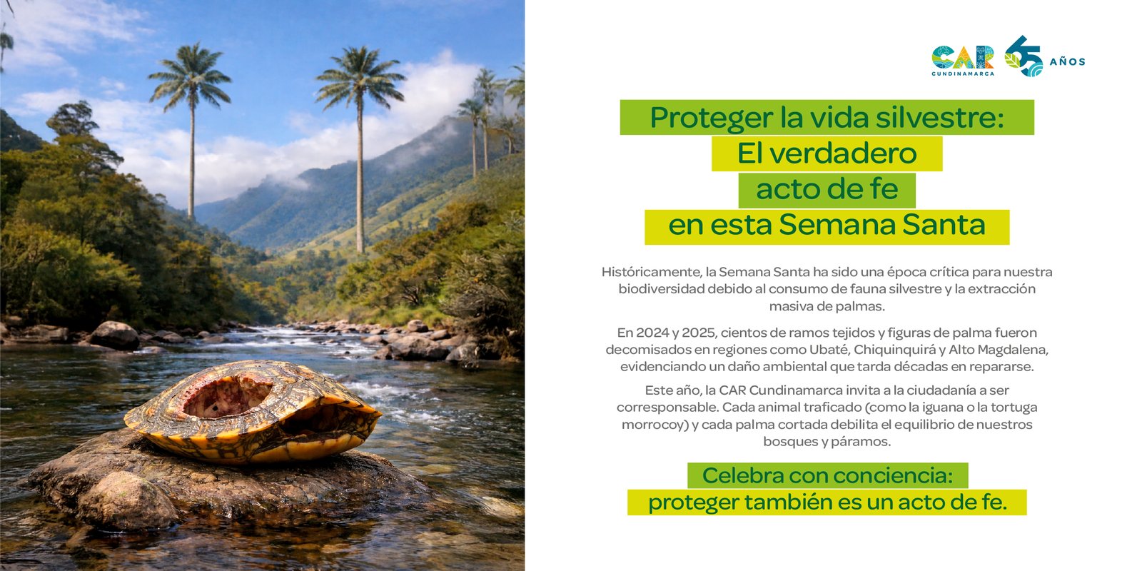 Portal Ecológico Sxxi.net